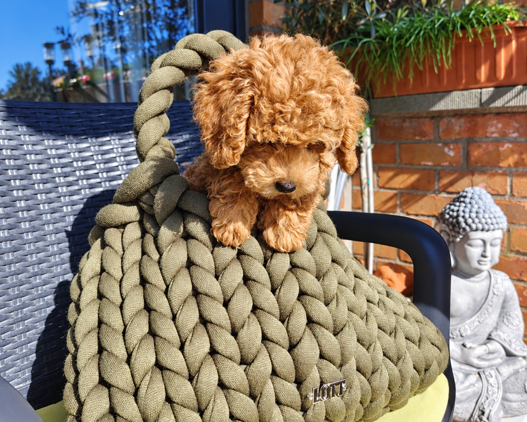 Chunky big kaki met puppy